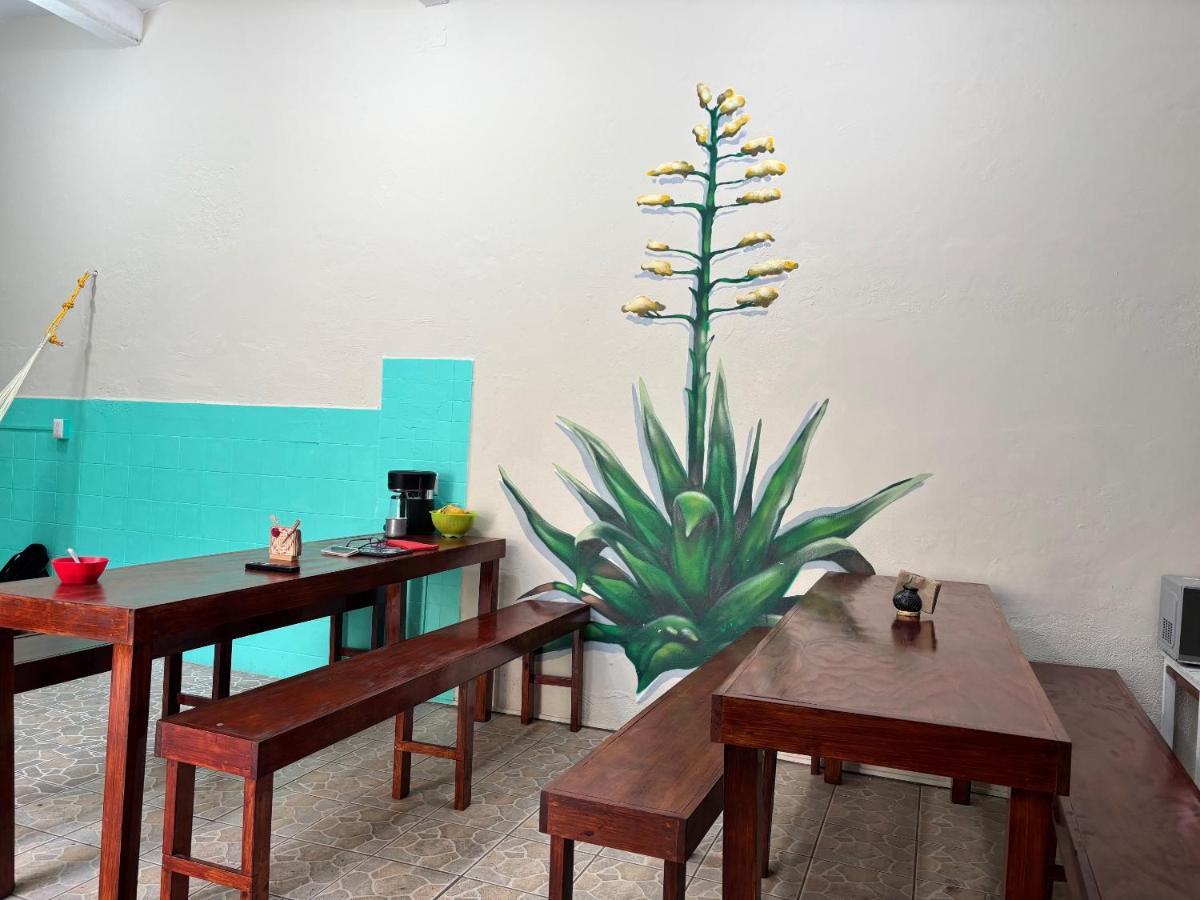Hostel Casa Maguey - Housity