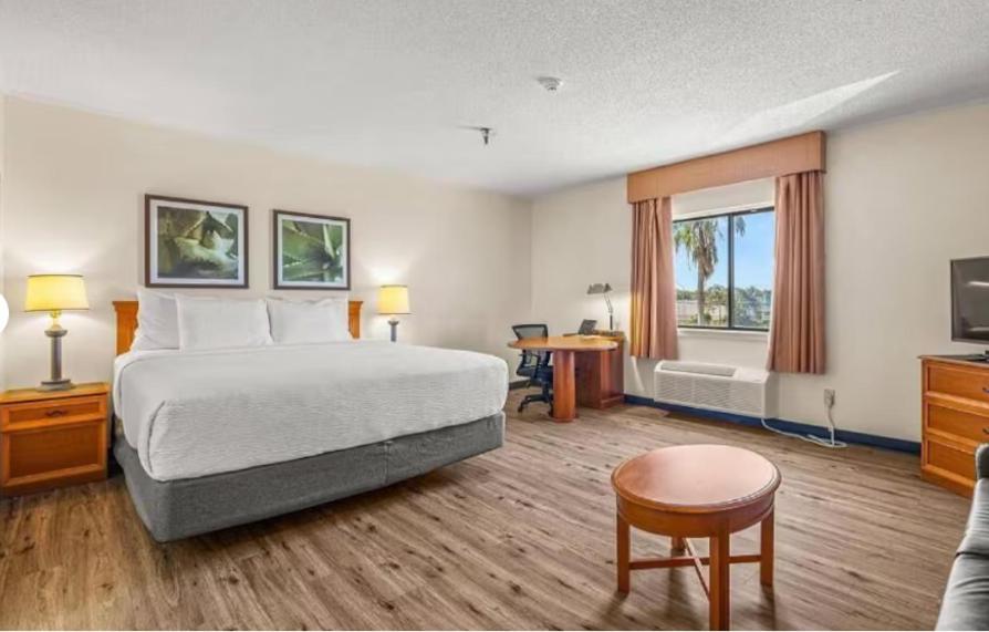 La Quinta by Wyndham Tampa Brandon West - Housity