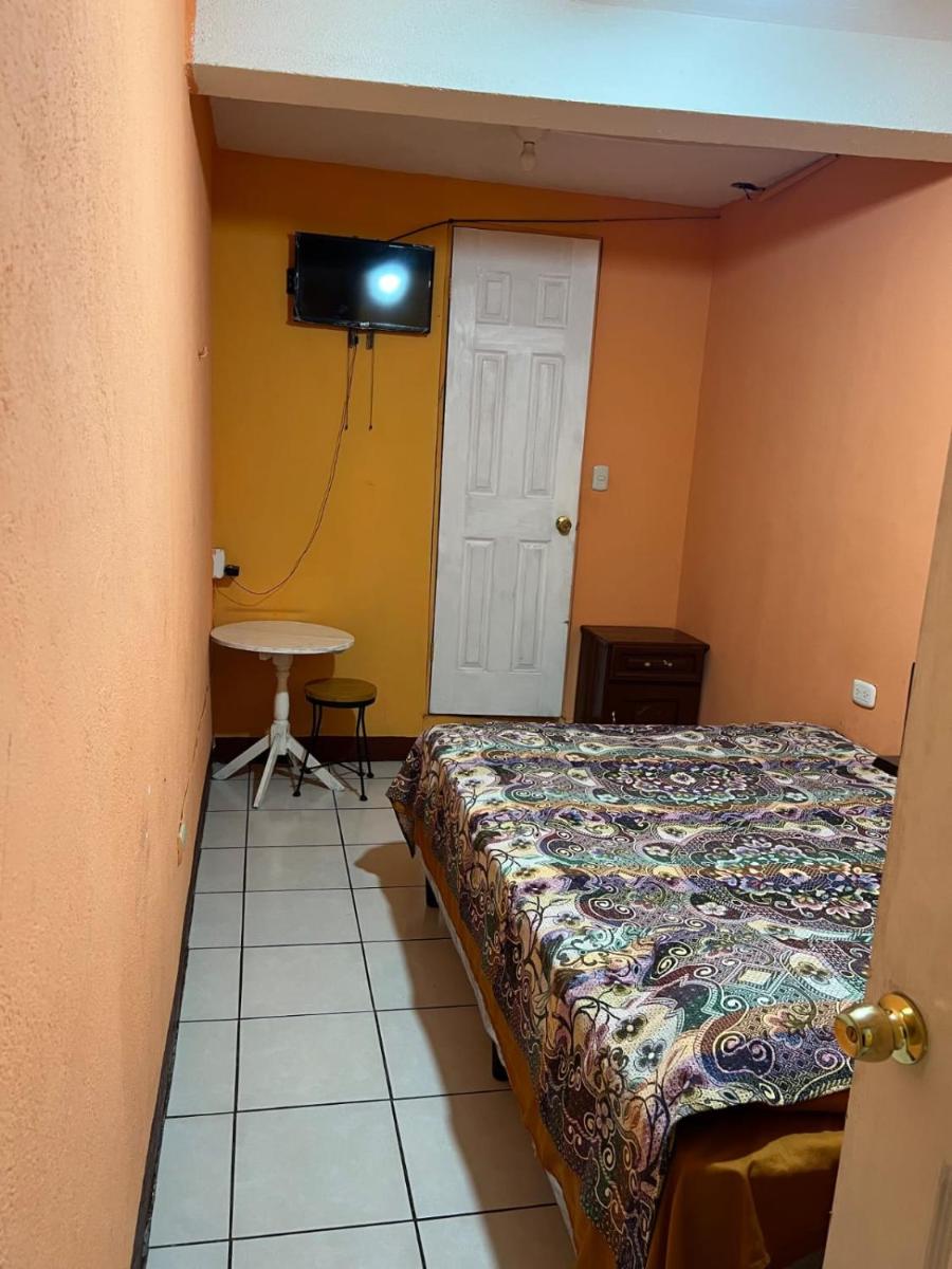 Hostal The Campanario - Housity