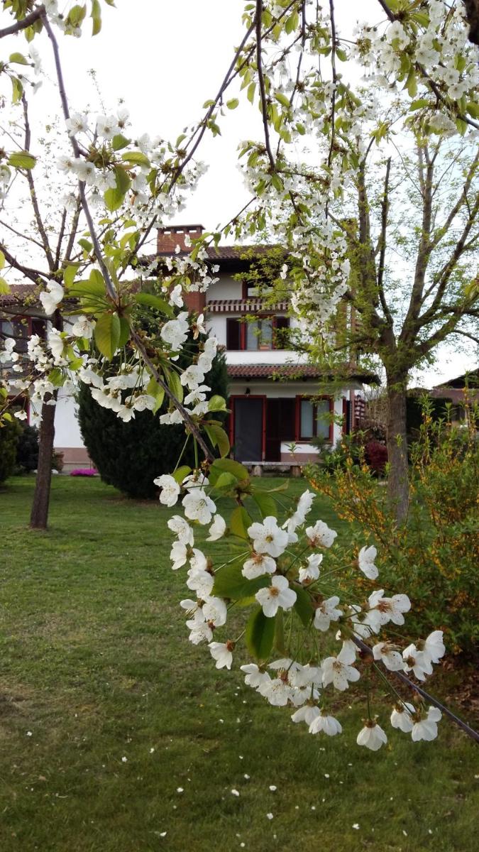 I 99 ulivi - Housity