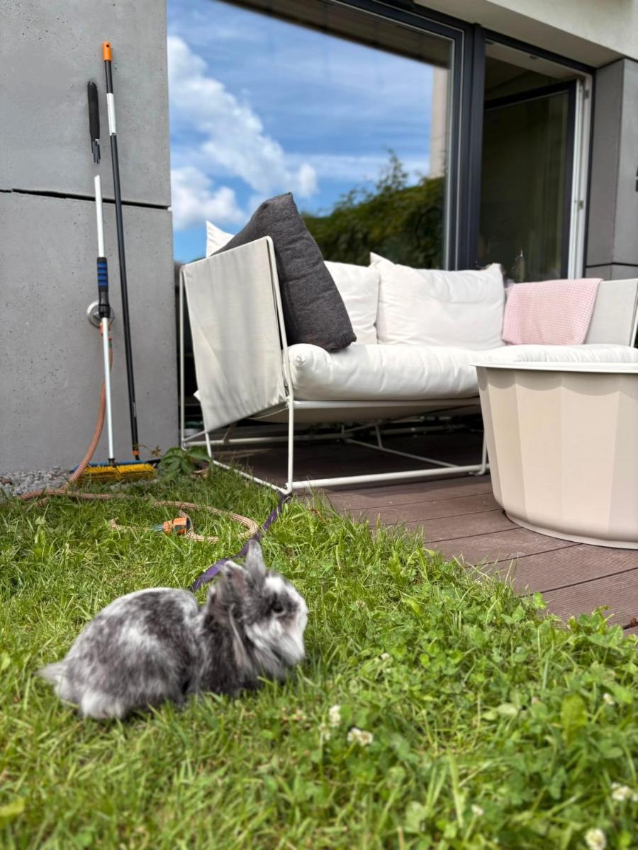Apartament Gdynia z ogródkiem - Plaża morze 10 minut - Housity
