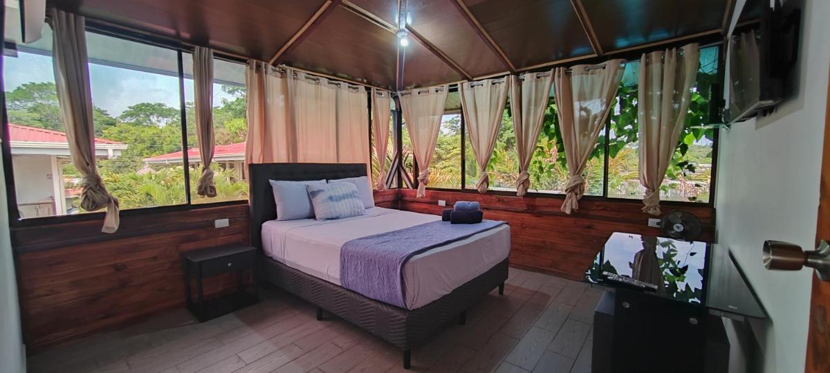 Ballena Rey Hotel - Housity