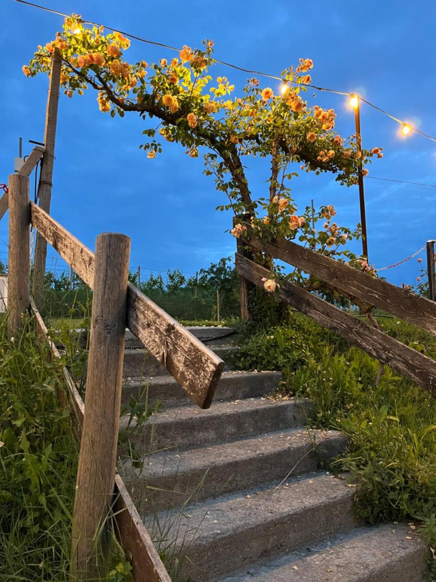 Cascina Graziosa - Housity