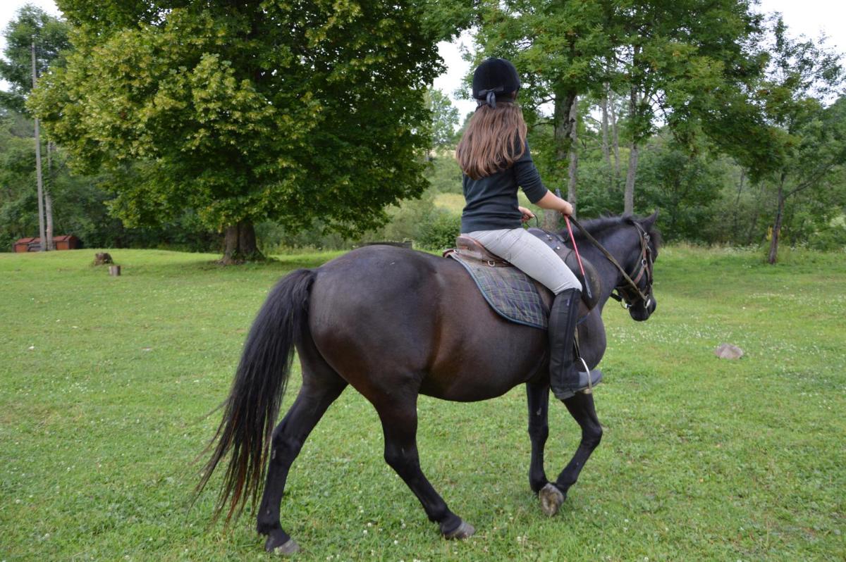 Latarnia Wagabundy Bieszczady - Housity