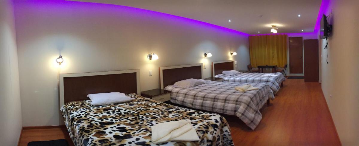 Casa Suite - Housity