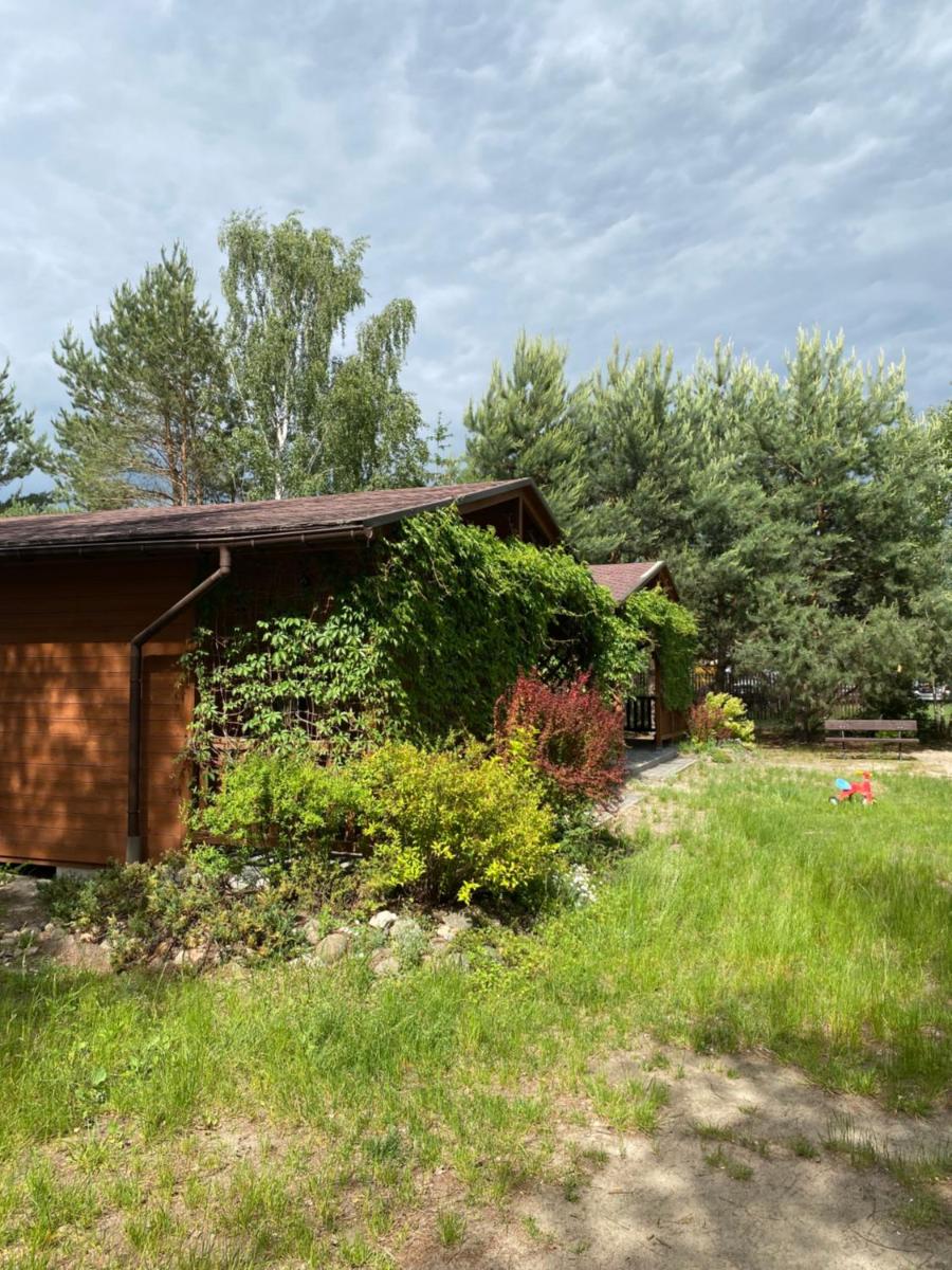 Domki pod Brzozami w Firleju - Housity