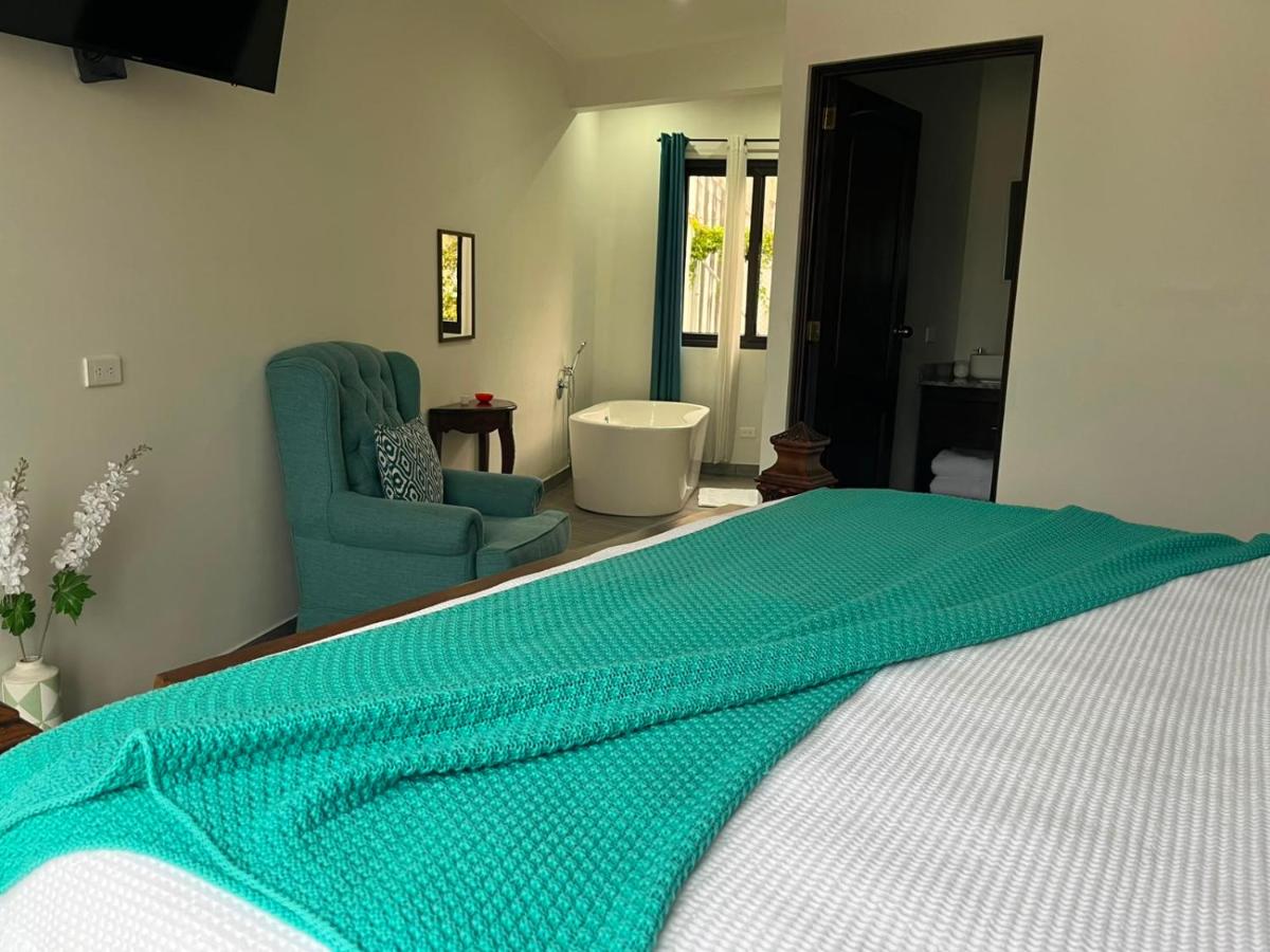 Hotel Mountain View - Housity