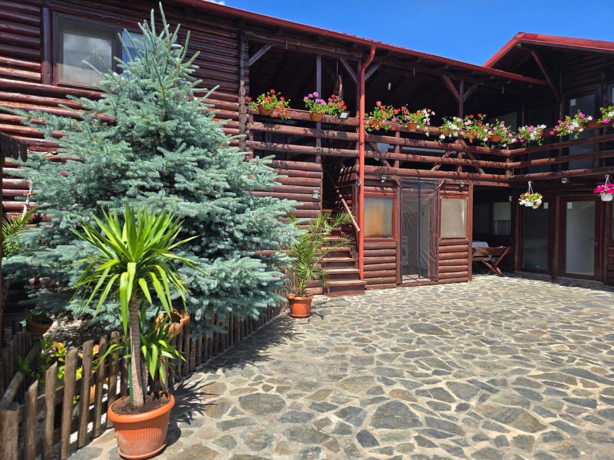 Casa Baciu - Housity