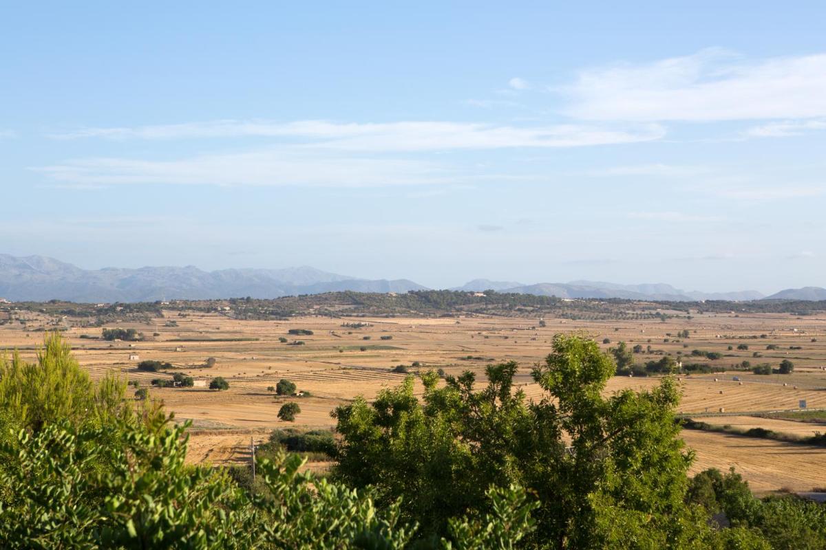 Paisaje cerca de este hotel