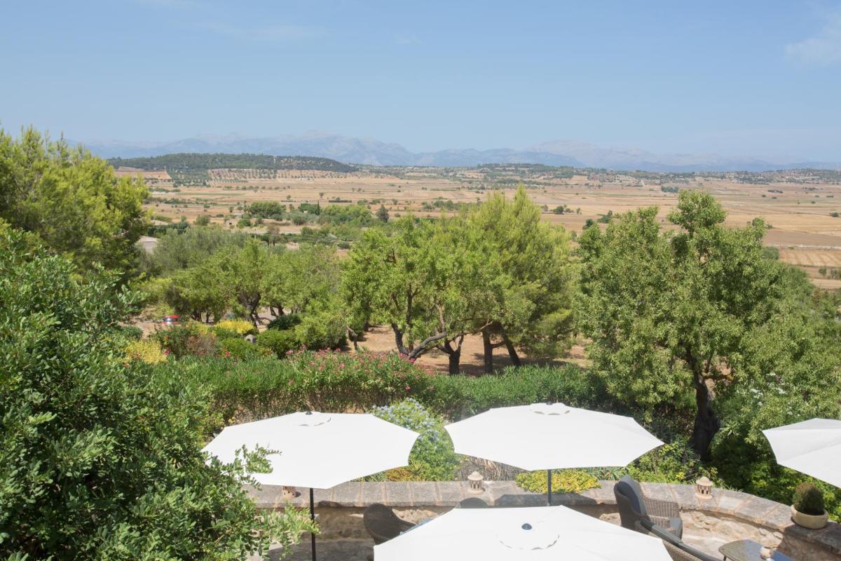 Paisaje cerca de este hotel
