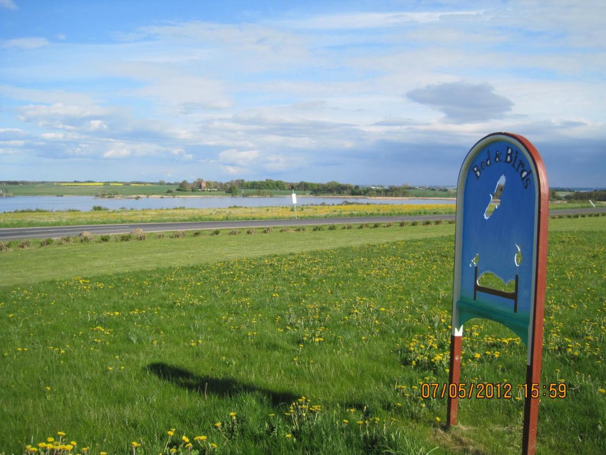Bed and Birds B&B - Housity
