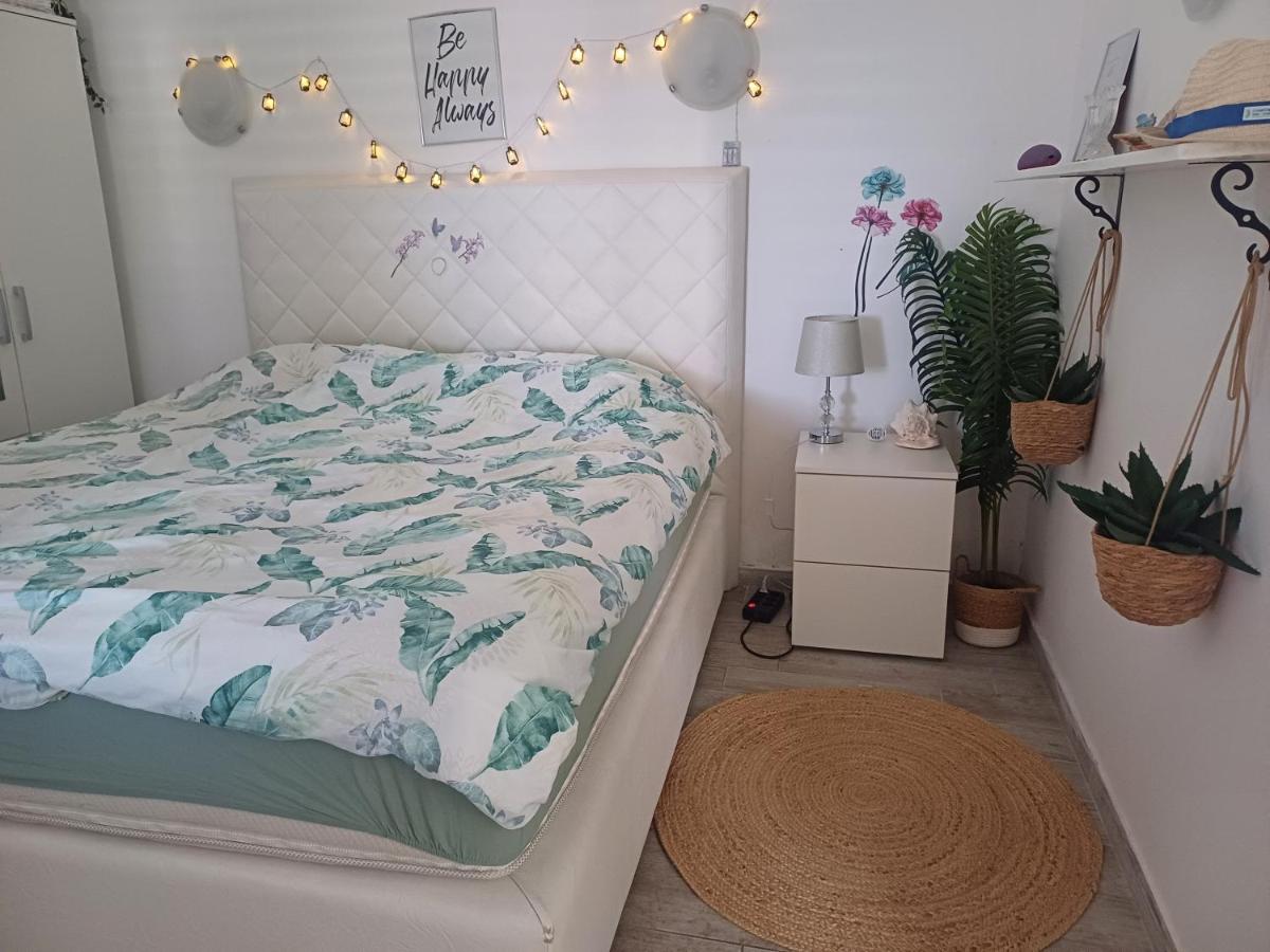 Apartment Lili - Housity