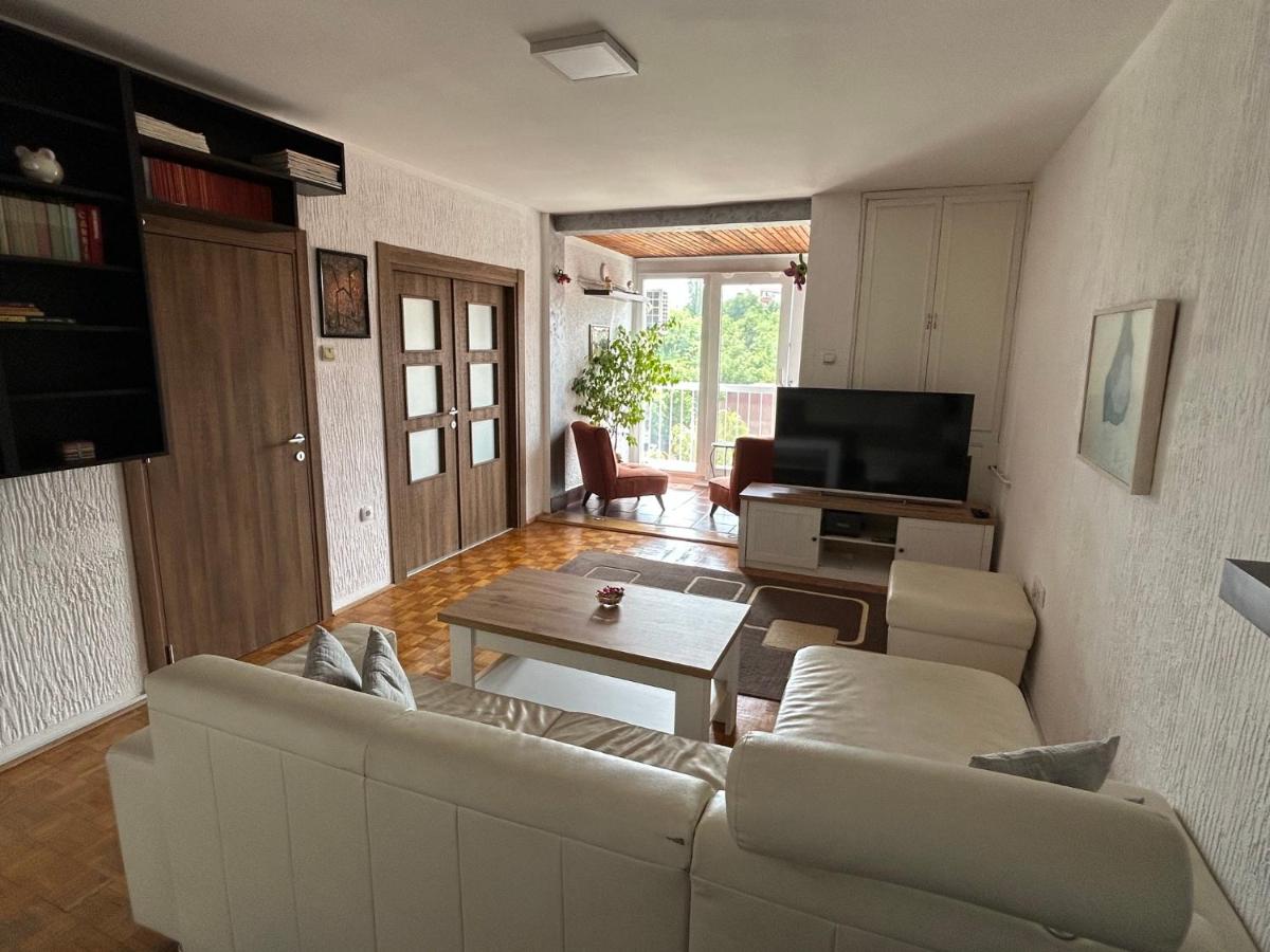 Sokolov Apartment - Hizvo