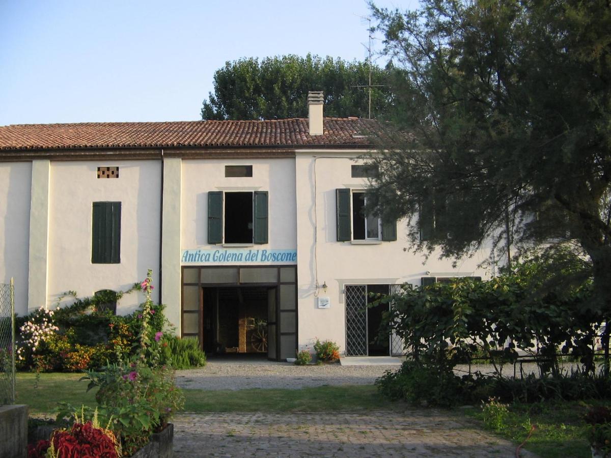 Agriturismo Antica Golena - Housity