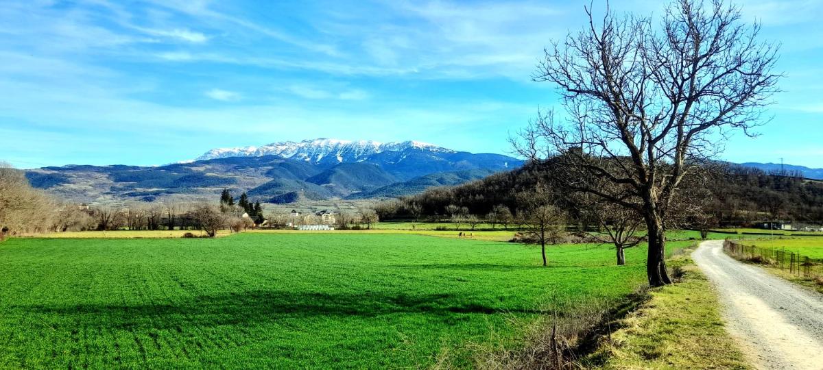 Allotjament Rural Cal Miquel - Housity