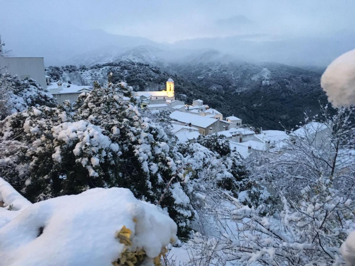 Suitetrails - Apartamentos Rurales Jardines del Visir