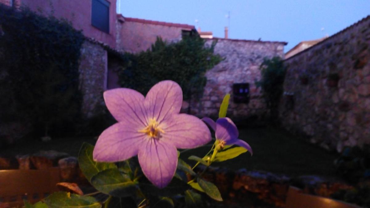 La Casa de la Abuela Petra - Housity