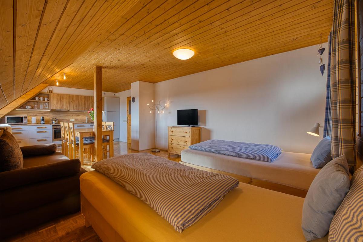 Horský apartmán Vyhlídka Rejvíz - Housity