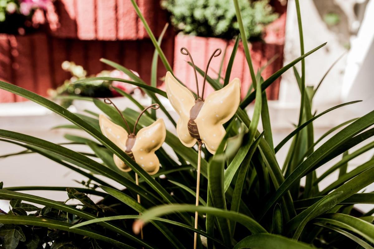 Ferienwohnung Schmetterling - Housity
