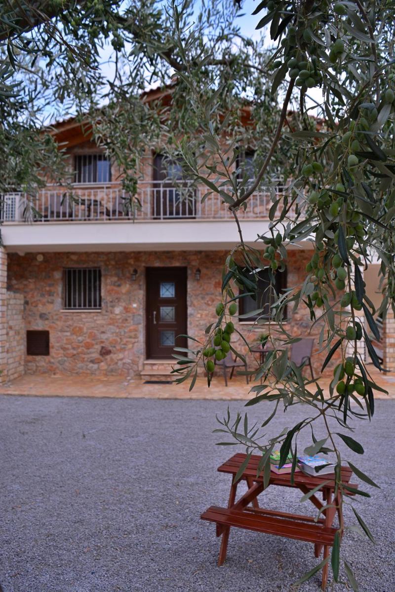 VILLA IN THE OLIVE TREES - Housity