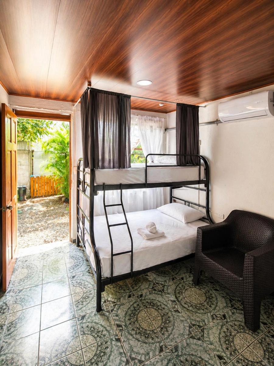 Alpha Arenal Hostel - Housity