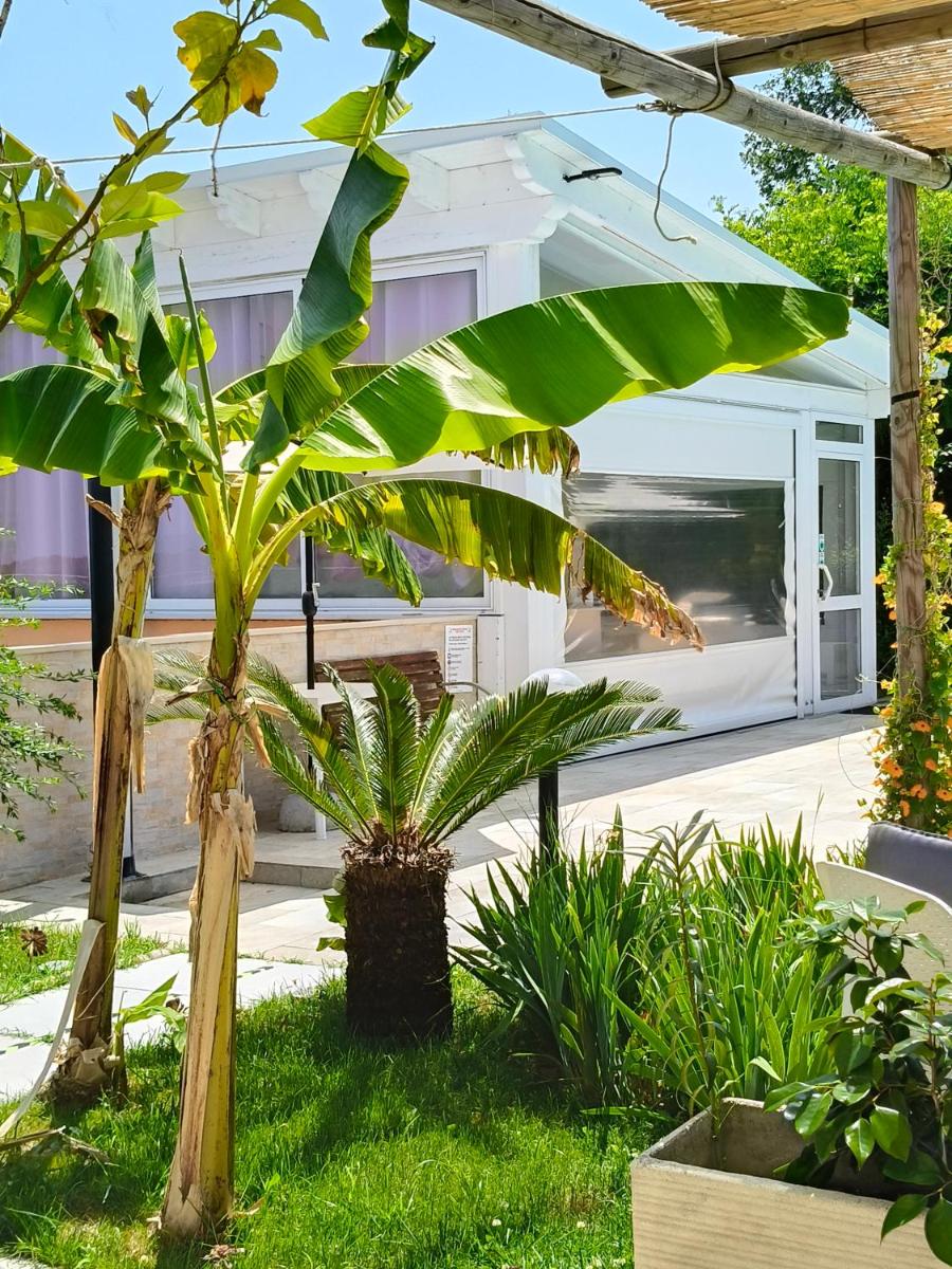 B&B Il Giardino Mediterraneo - Housity