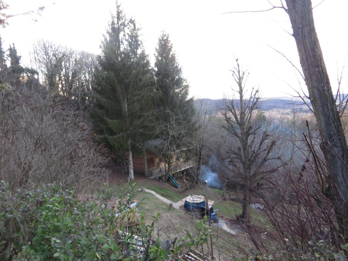 La Cabane aux Sapins - Housity