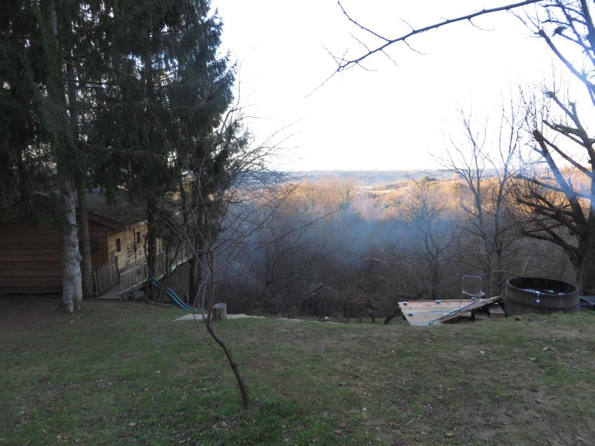 La Cabane aux Sapins - Housity