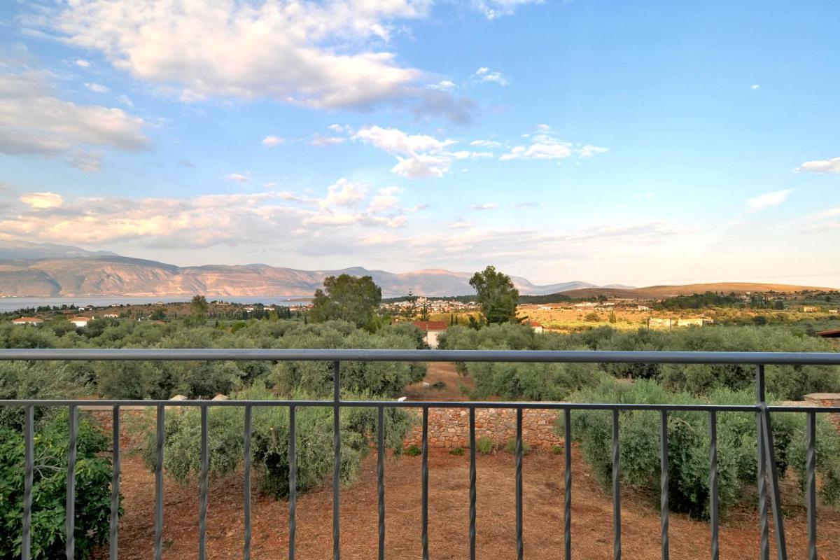 VILLA IN THE OLIVE TREES - Housity