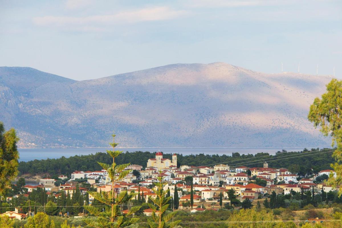 VILLA IN THE OLIVE TREES - Housity