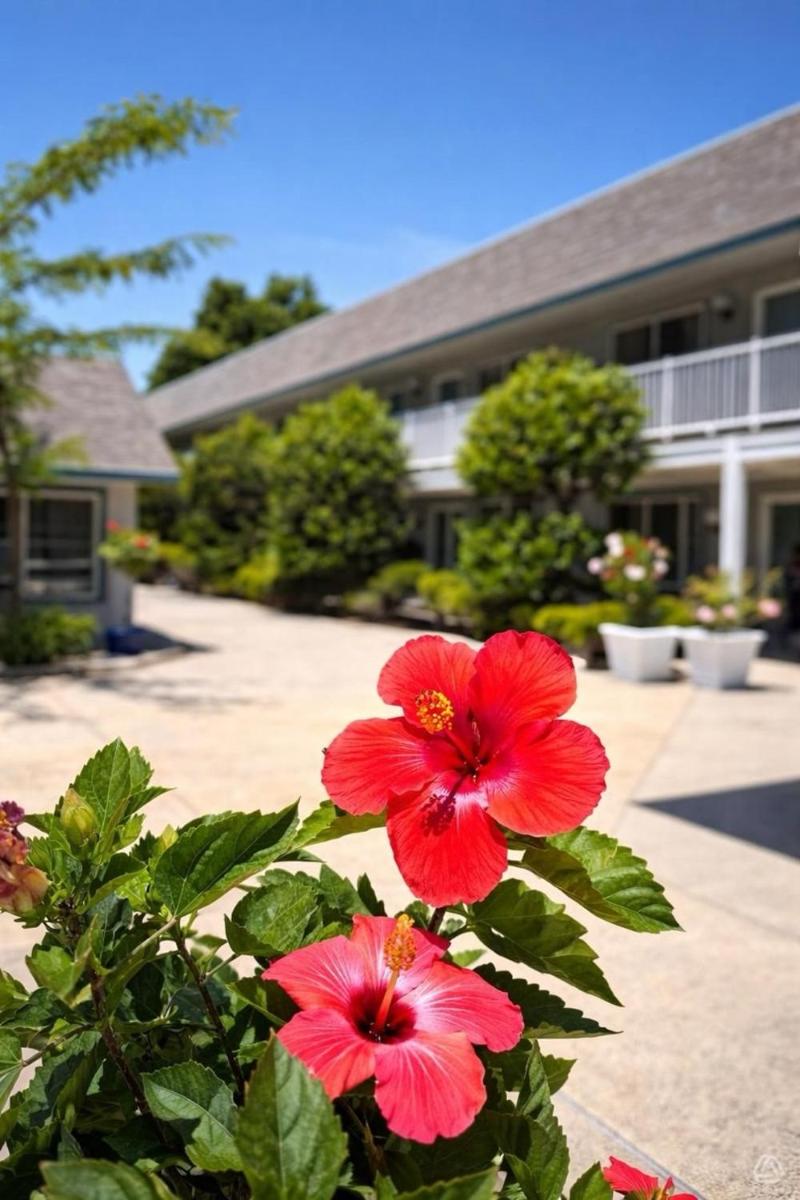 Cape Harbor Motor Inn - Housity