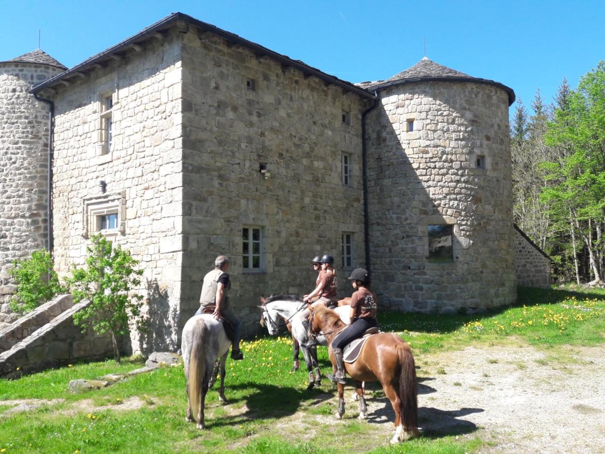 Chalet, chrysalide, ferme de Vovady - Housity
