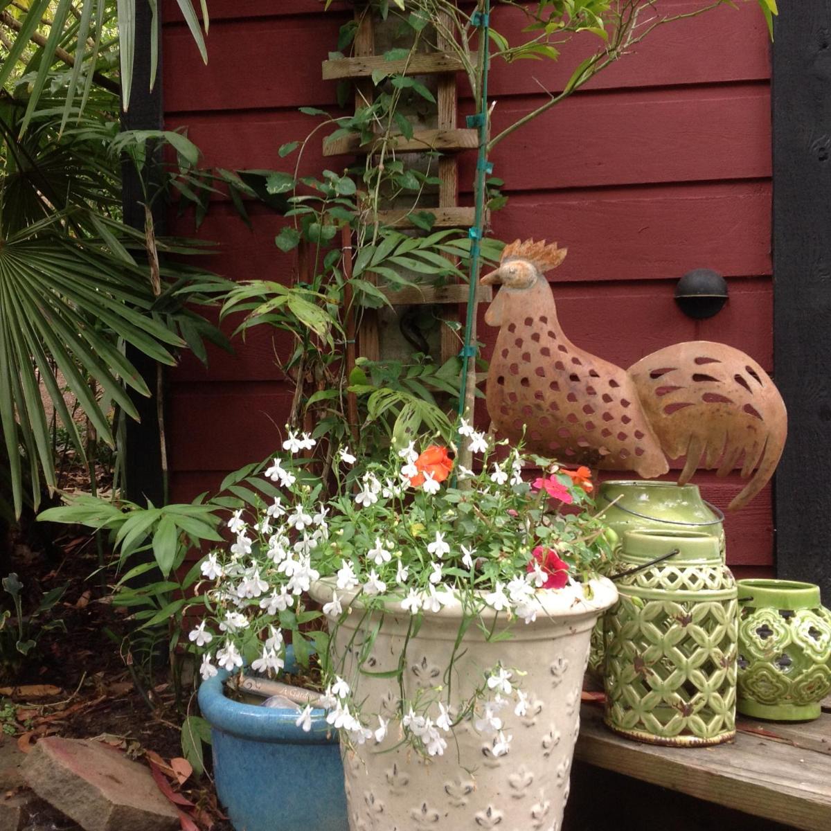 Magnolia Petal - Housity