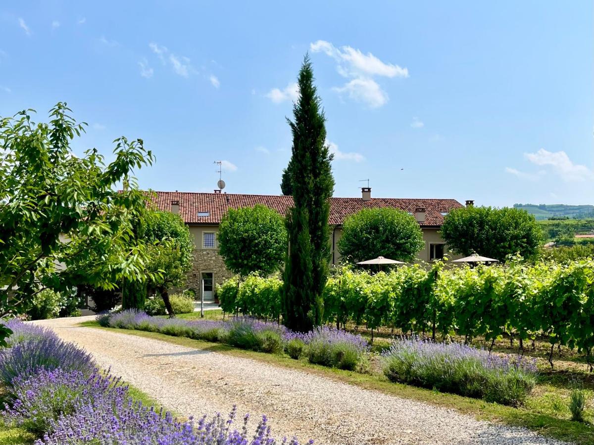 Casa Perazzolo - Housity