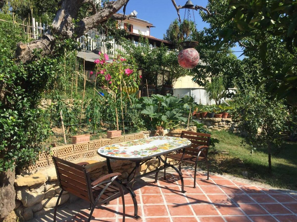 Elegant Villa in Treglio with Private Pool - Housity