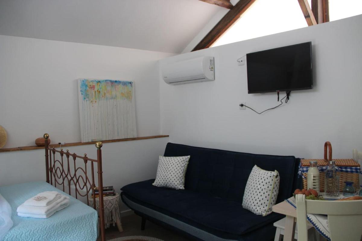 Charming Studio in Marco de Canaveses 25m² with Pool - Housity