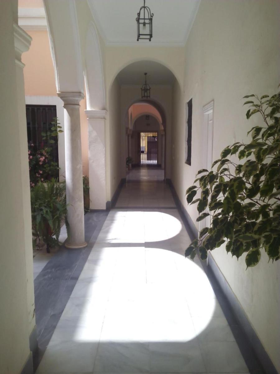 Apartamento San Miguel Caballeros - Hizvo