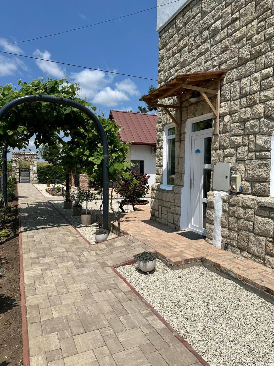 Halta Pescăruş Accommodation - Housity