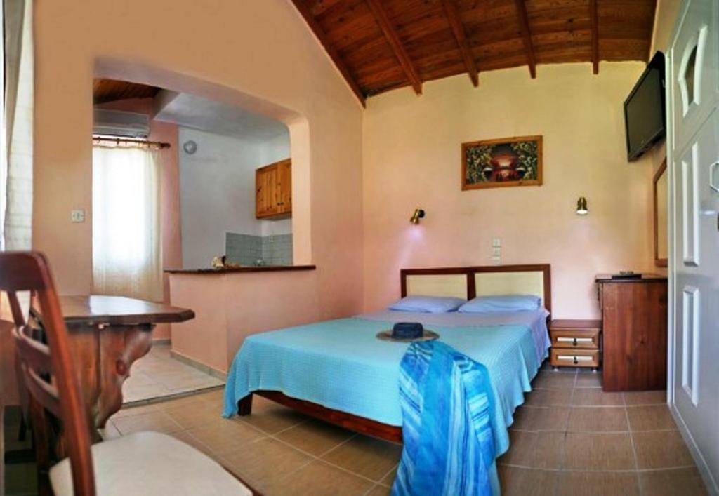 Paradise Studios - Housity