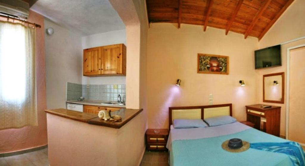 Paradise Studios - Housity