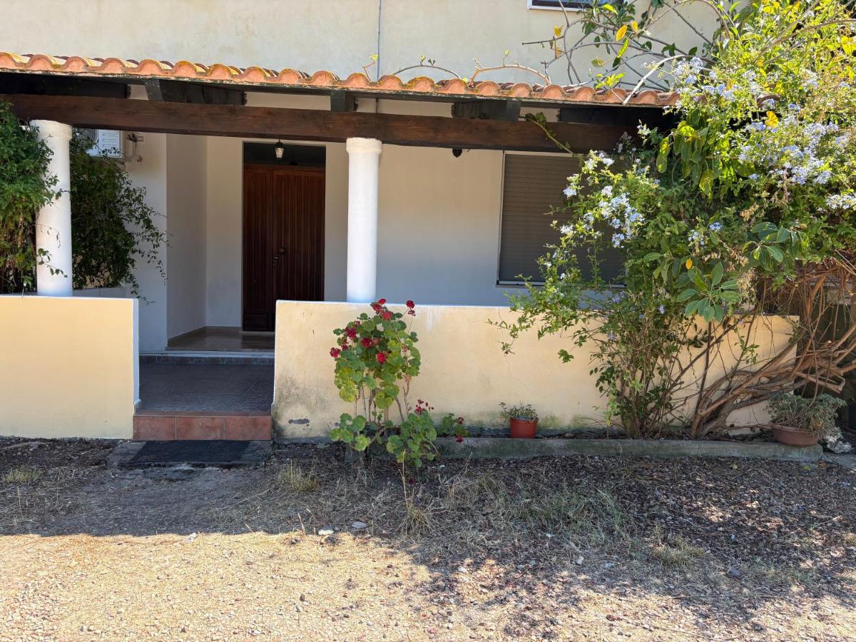 Appartamenti Alessio - Housity