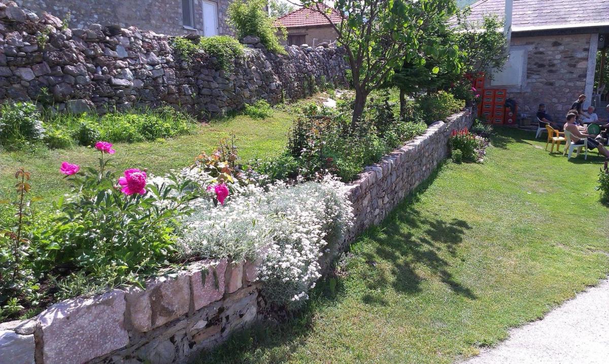 Baba I Dede - Housity
