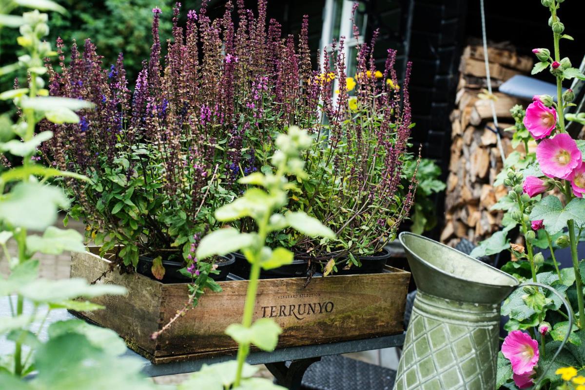 Grundfør bed and breakfast - Housity