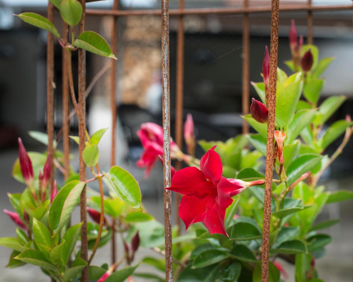 Grundfør bed and breakfast - Housity