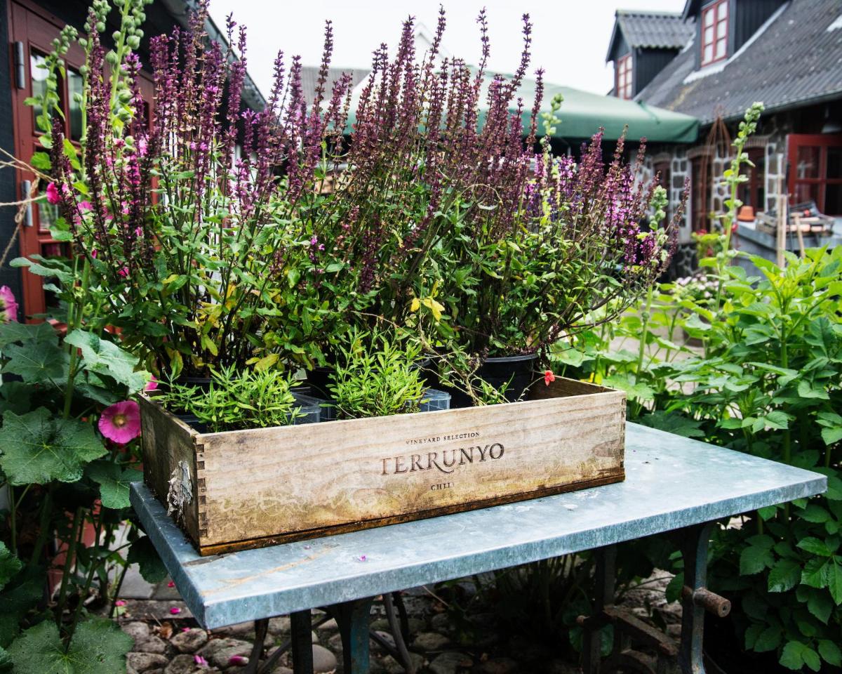Grundfør bed and breakfast - Housity