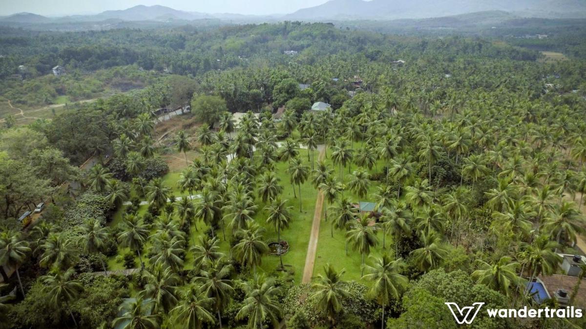 Teak Town - Housity