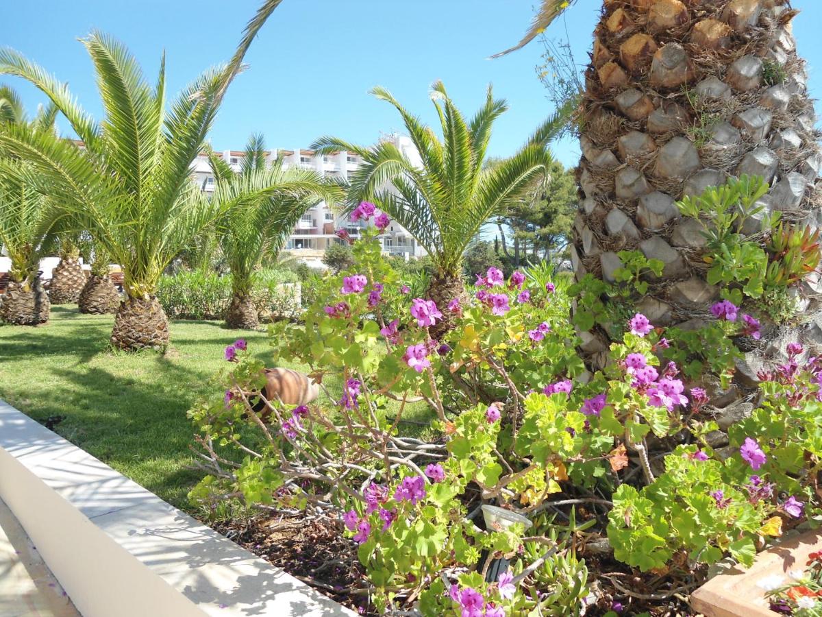 Jardín al aire libre en Grand Hotel Palladium Santa Eulalia del Río