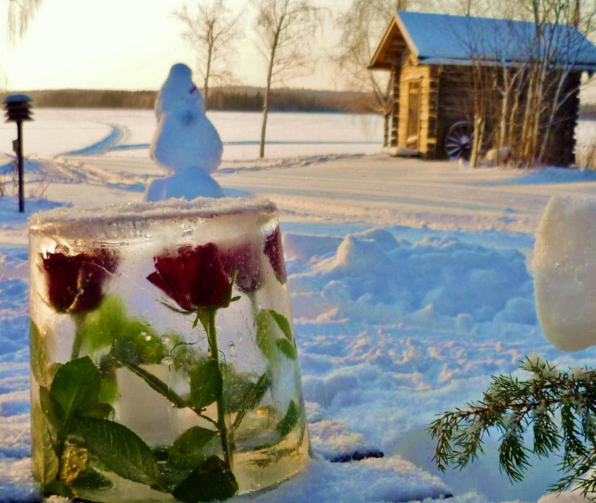 Ainola Cottage - Housity