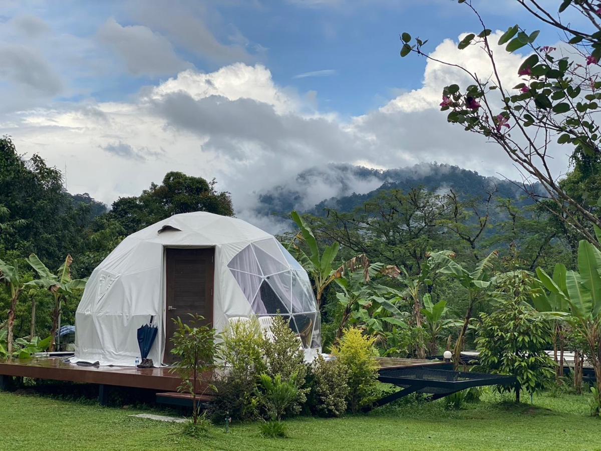 Cosy Garden Khao Sok - Housity