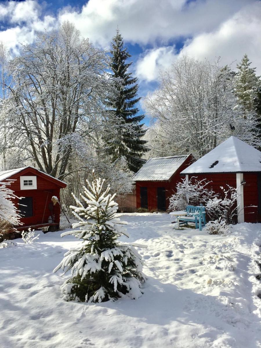 Olsbacka cottage - Housity